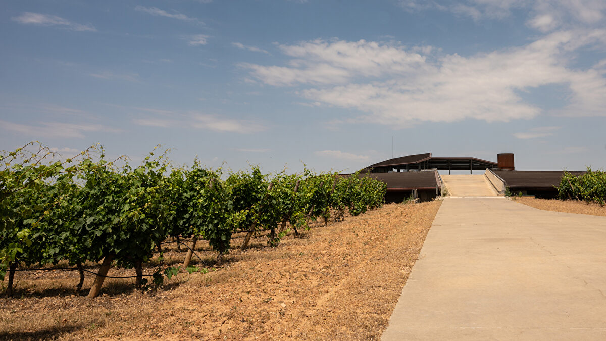 Una visita a Bodegas Portia diseñada por el genio arquitectónico de Norman Foster