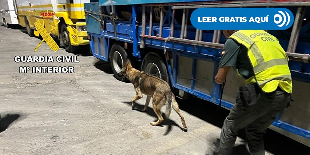 Guardia Civil y Policía Nacional blindan Melilla para frenar a los polizones tras las fiestas