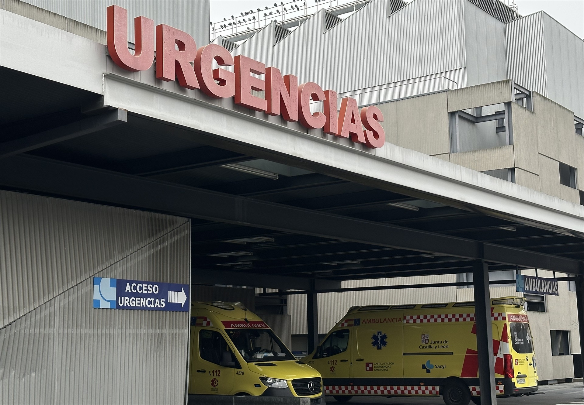 Caos en un autobús de Valladolid: una menor rocía gas pimienta por error y deja seis intoxicados