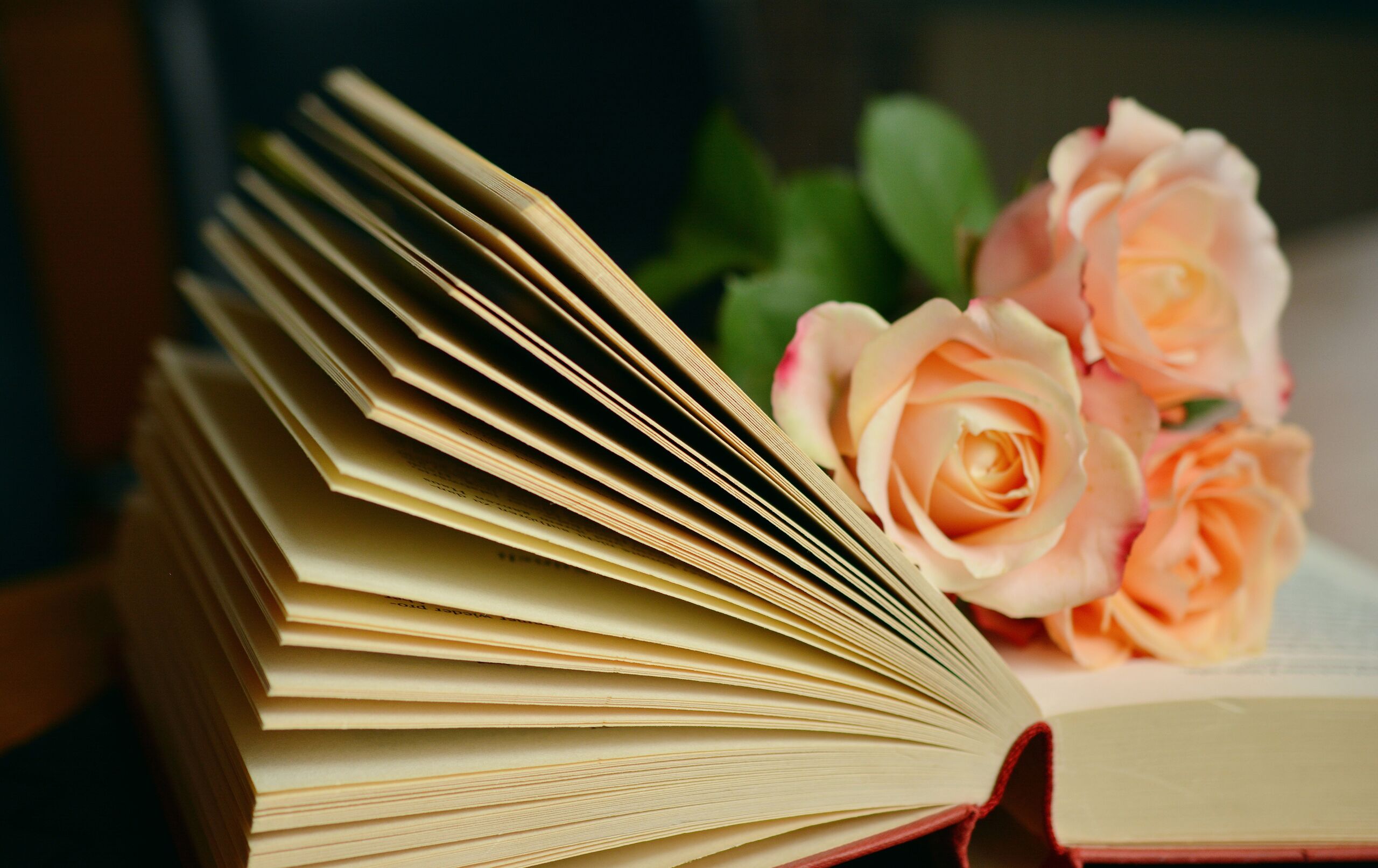 Kiss Lit Fest: Madrid se rinde al romance con su nuevo festival literario