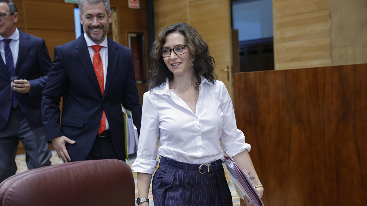 audiencia provincial de madrid