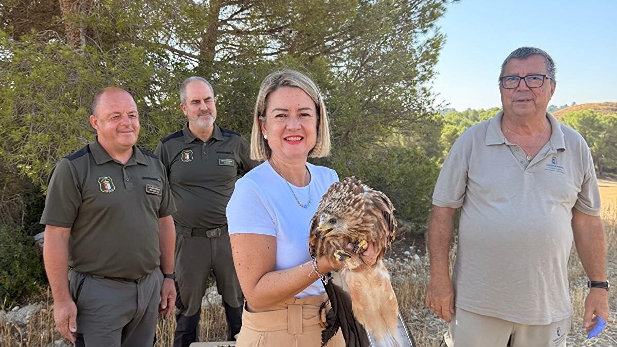 Devuelven a su hábitat en Albacete dos pollos de milano real, una especie en peligro de extinción