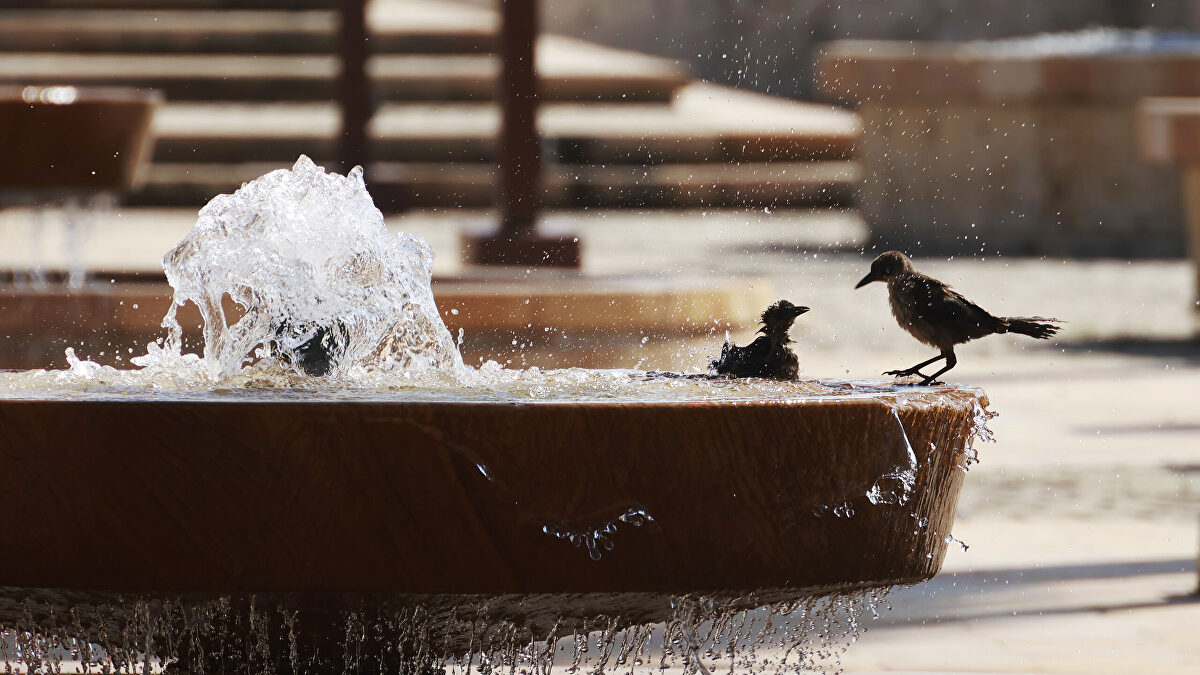 España entra en el otoño con tiempo de pleno verano y alertas por altas temperaturas