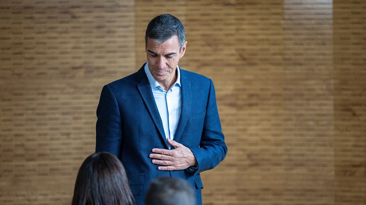 Estado fallido, Gobierno sumiso