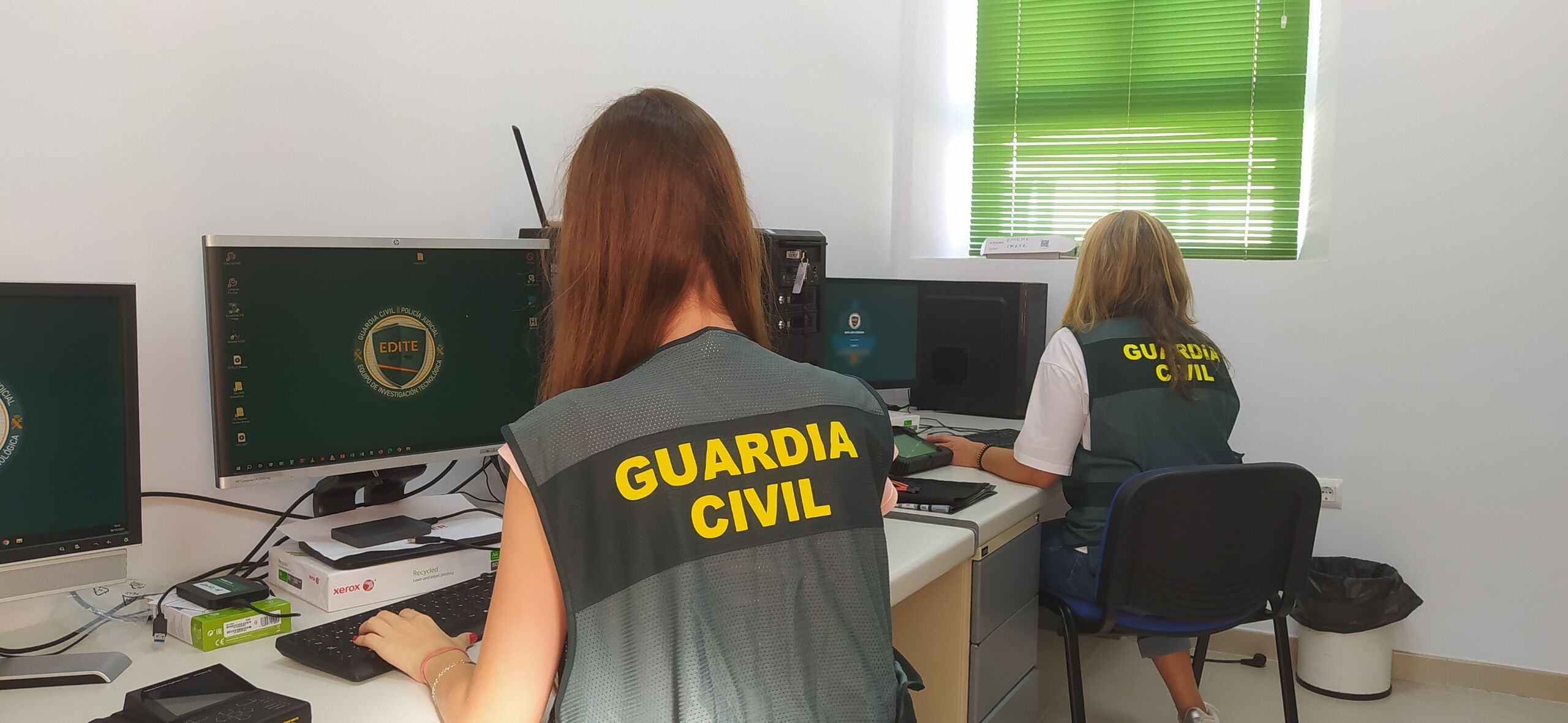 Investigan a 60 personas por una estafa de medio millón a empresas olivareras de Córdoba