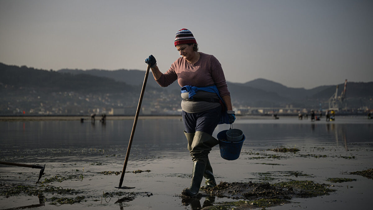  Nos murió todo : el marisqueo gallego afronta una campaña crítica
