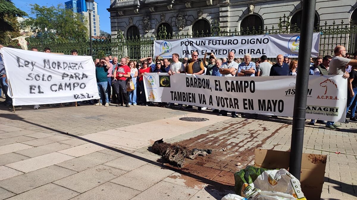 Los ganaderos asturianos estallan contra el abandono del campo: No va a haber leche para un café