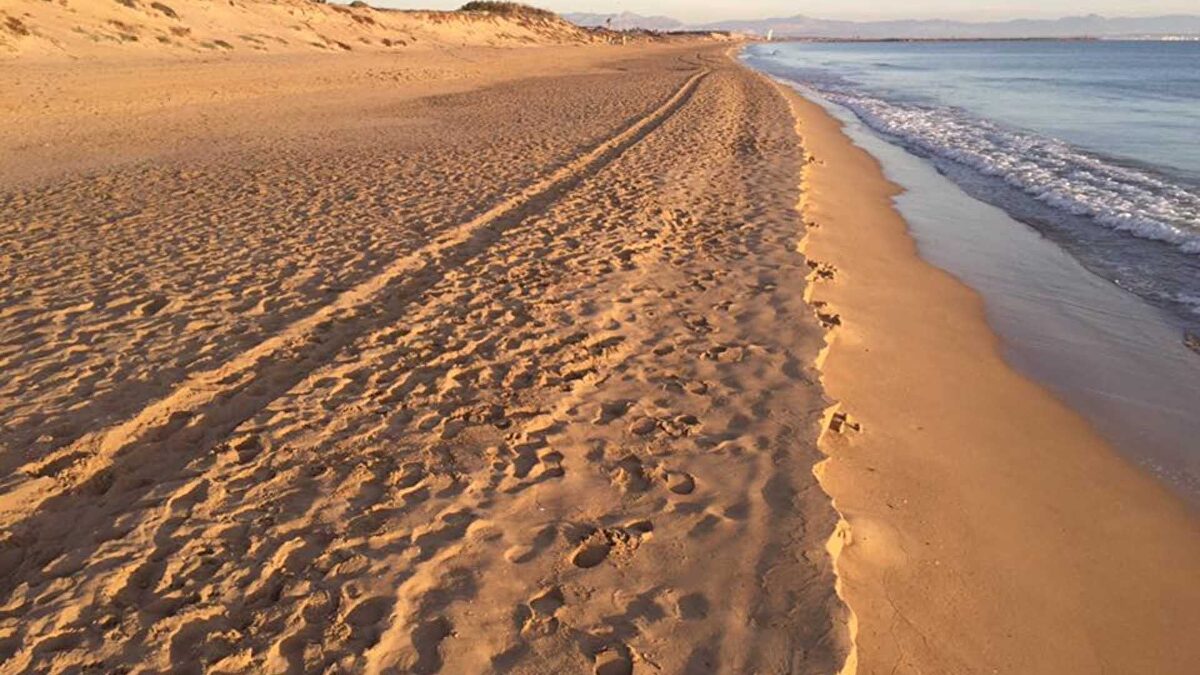 Dos jóvenes mueren ahogados en una playa de Guardamar del Segura
