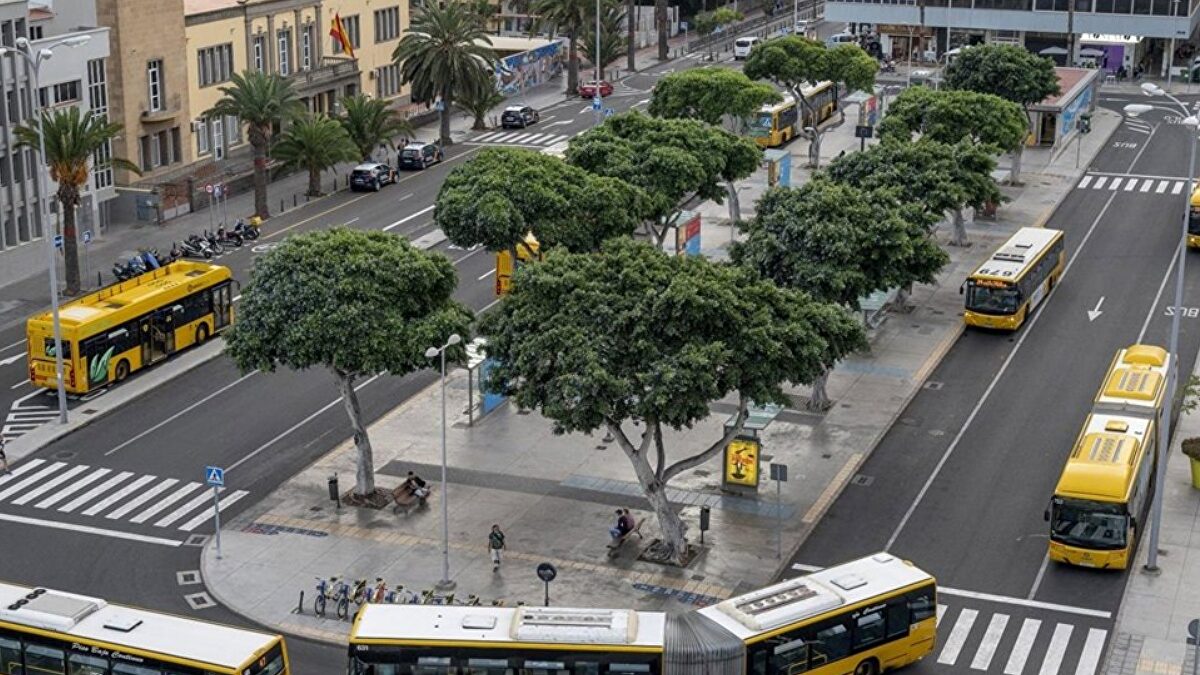 La guagua urbana gana un 8,3% de viajeros en Canarias y roza los ocho millones en agosto