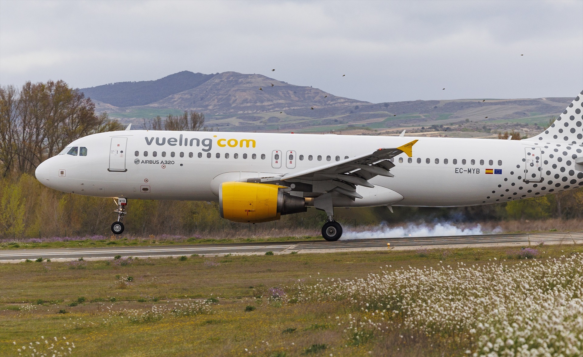 Aterriza de emergencia en Barcelona un avión tras impactar contra aves