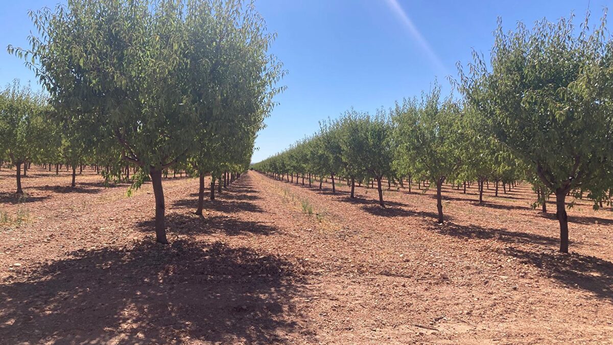 El campo español se cita en Tarancón: Libertad Digital celebra el 29 de octubre su II Agroforo