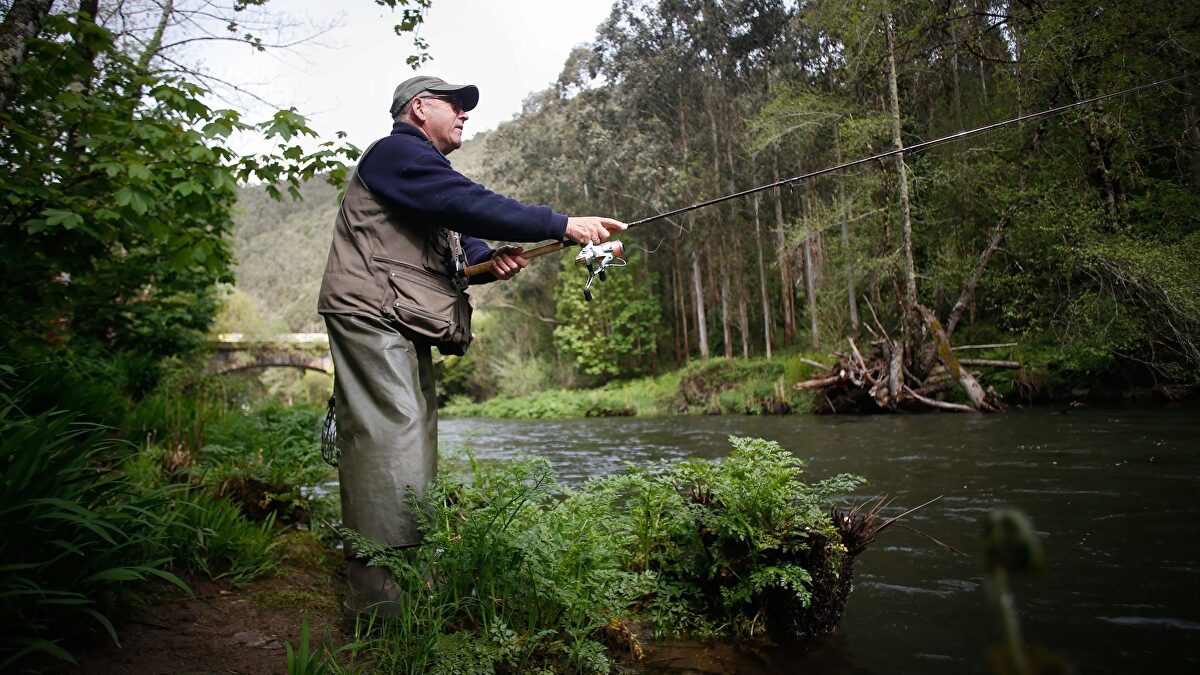 Asturias prohíbe pescar salmones y suspende la tradicional subasta del campanu