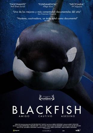 Póster Blackfish