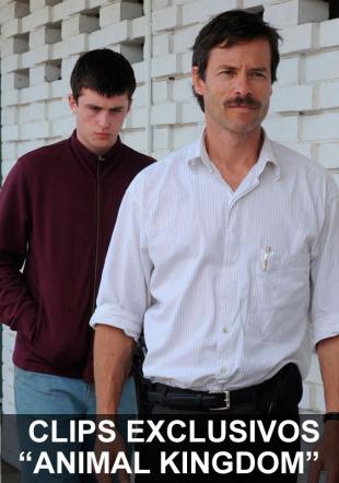 Póster Clip Exclusivo Animal Kingdom