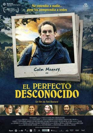 Póster El perfecto desconocido