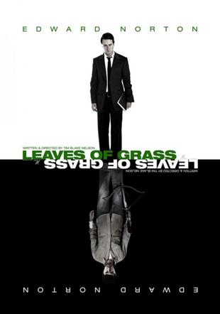 Póster Hojas de hierba