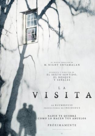 Póster La Visita